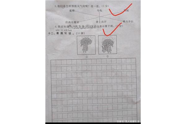 蘑菇伞看图写话