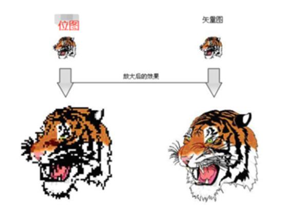 位图与矢量图