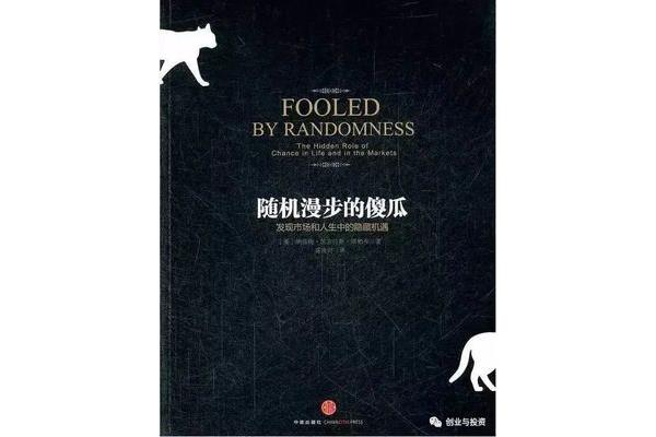 随机漫步的傻瓜