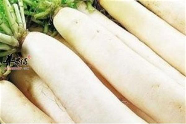 顺气的食物有哪些