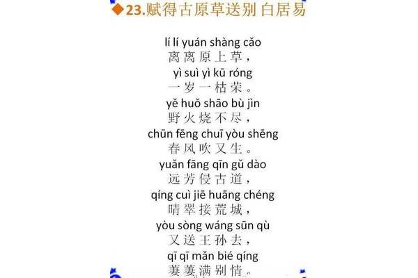 草的拼音怎么写