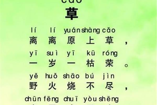 草的拼音怎么写