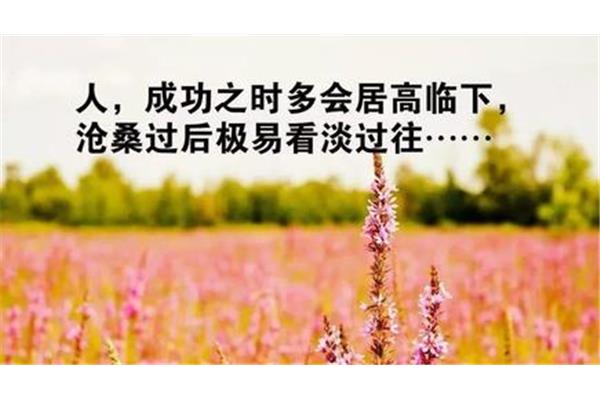 成功励志语录