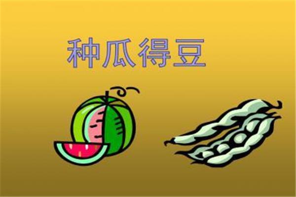布置的近义词