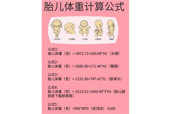 胎儿身长计算公式