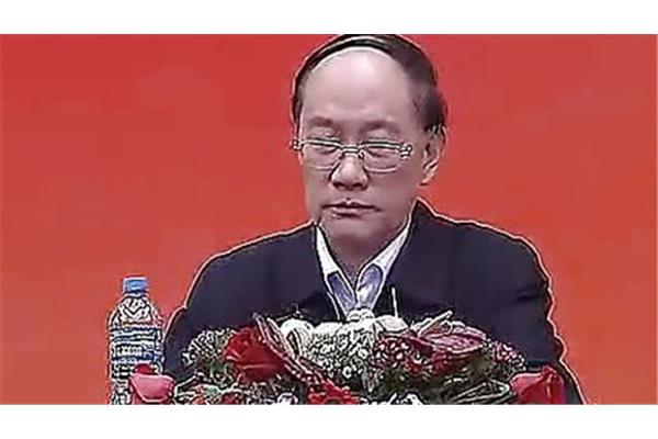 赵霖教授简介