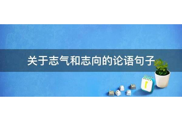 关于理想的句子
