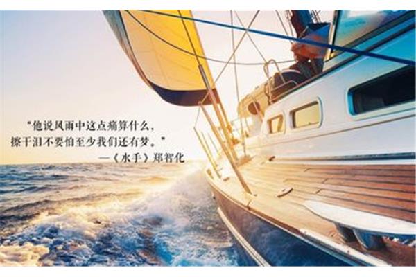 关于理想的句子