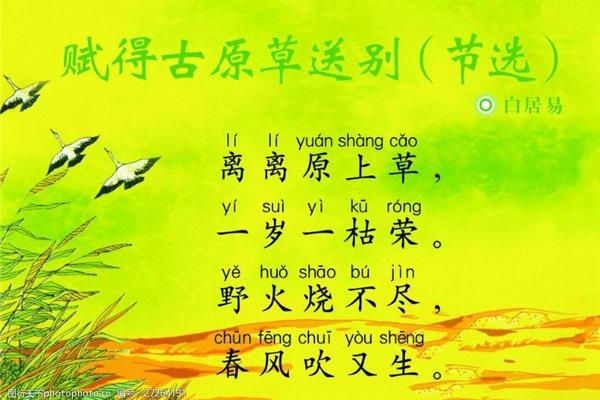 草的拼音怎么写
