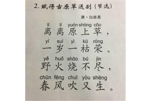 草的拼音怎么写