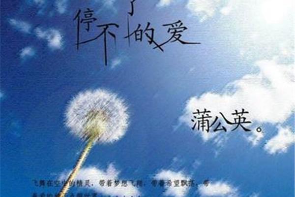 生命的品质