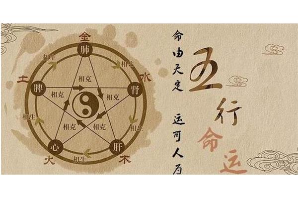 行打一数字