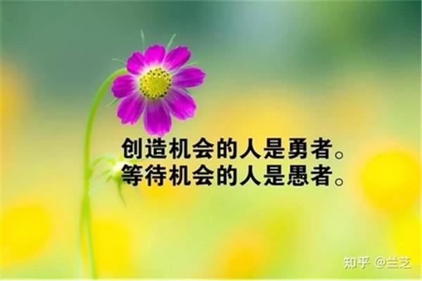 创业励志语录