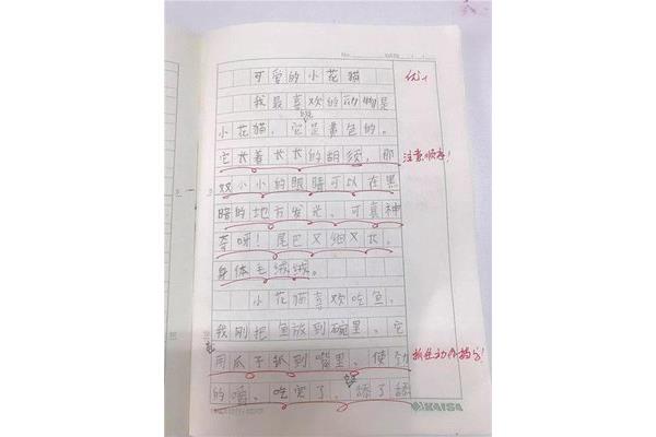 优秀作文100字
