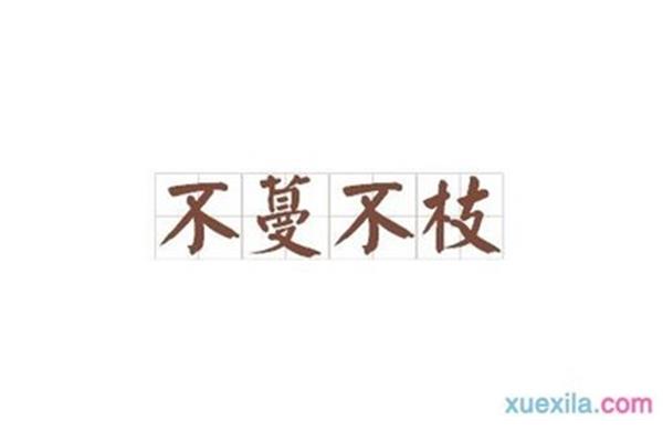 既不也不造句