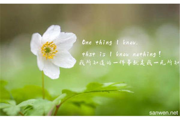 美丽英语怎么说