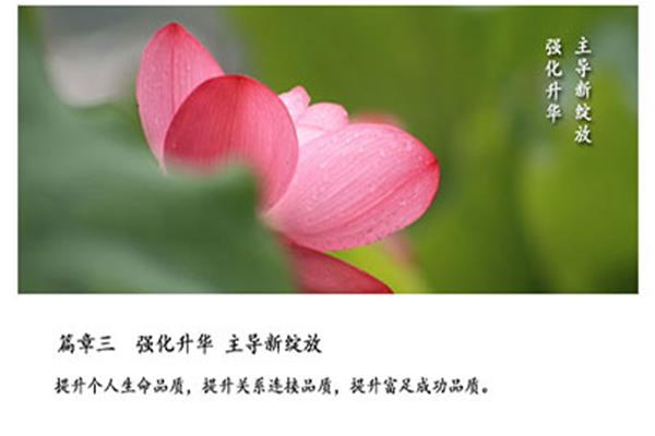 生命的品质