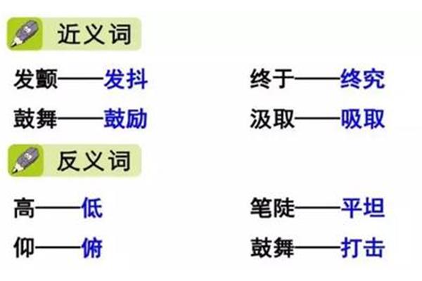 吸取的近义词