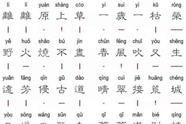 草的拼音怎么写