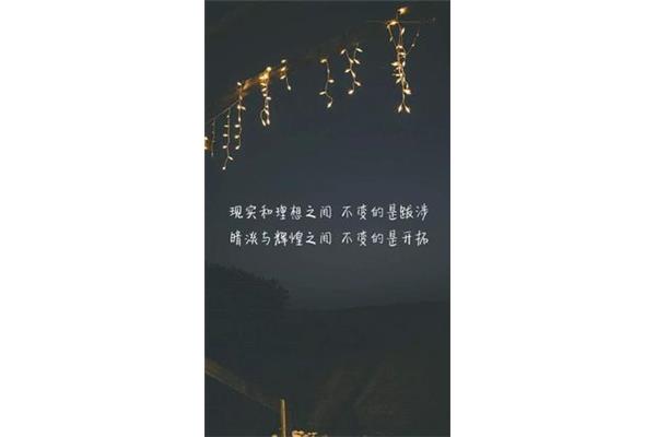 关于理想的句子