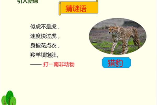 老虎的谜语