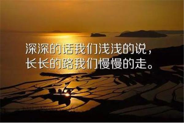 关于理想的句子