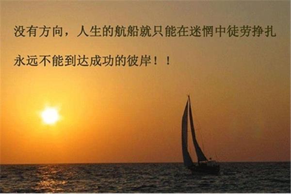 生命的品质