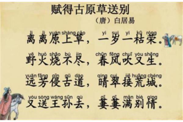 草的拼音怎么写