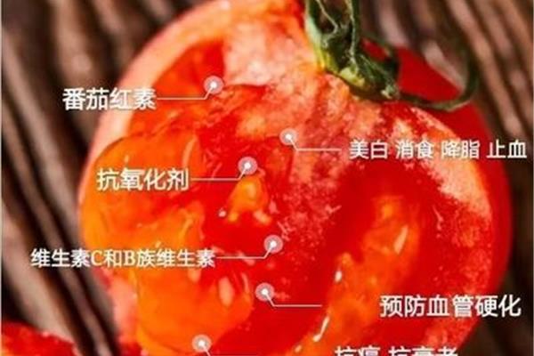 番茄营养价值