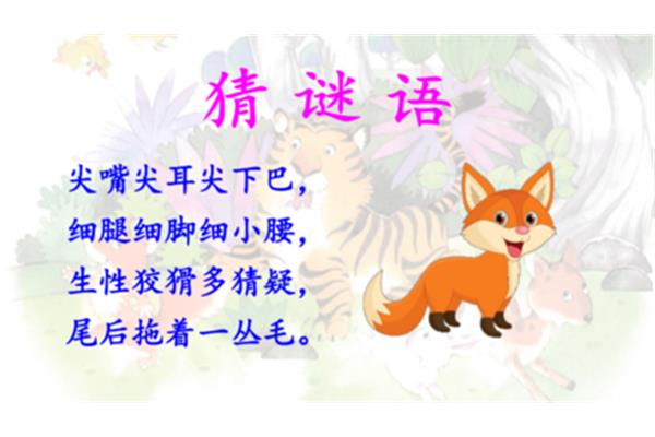 老虎的谜语