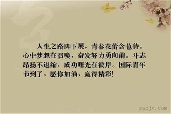 关于理想的句子