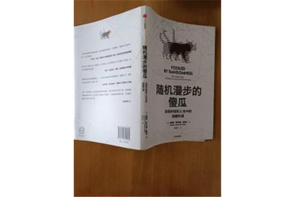 随机漫步的傻瓜