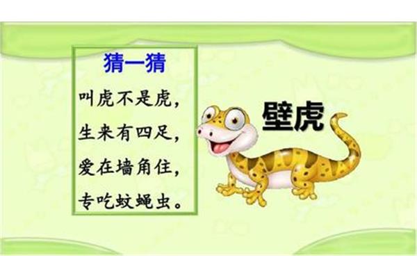 老虎的谜语