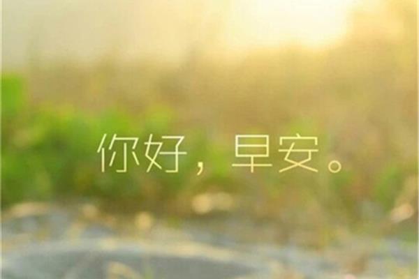 关于理想的句子