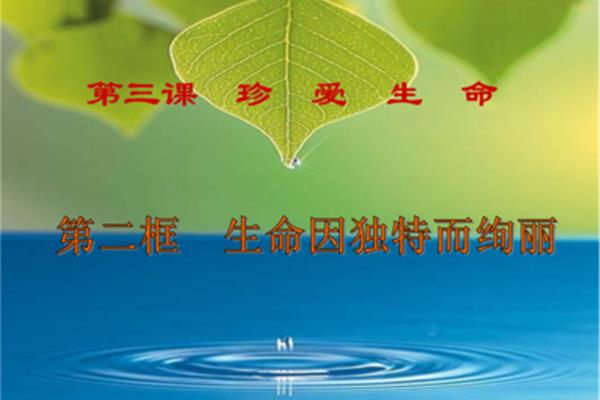 生命的品质