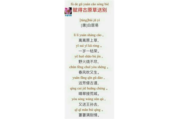 草的拼音怎么写