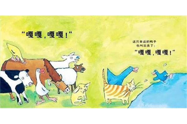 幸运的鸭子
