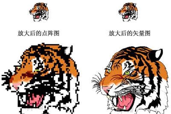 位图与矢量图