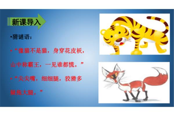 老虎的谜语