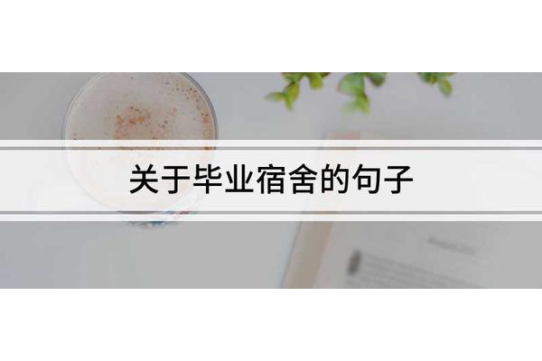 关于理想的句子