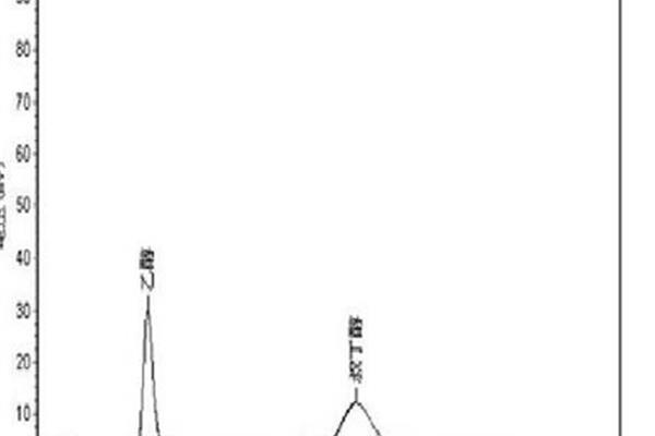气相色谱分析
