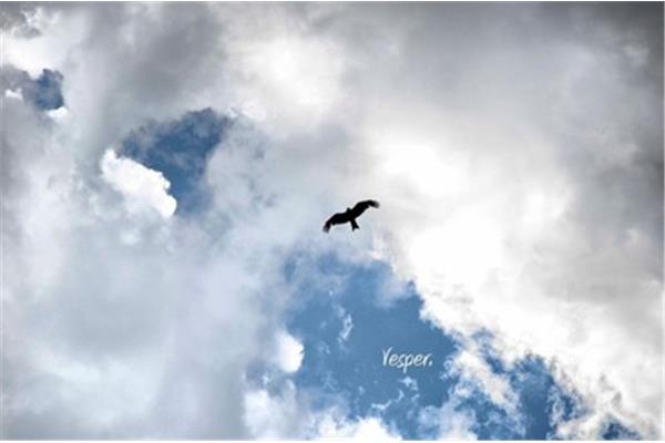 自己的天空
