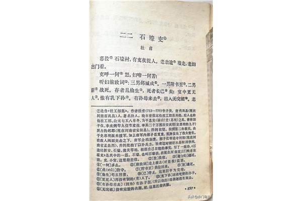 有吏夜捉人