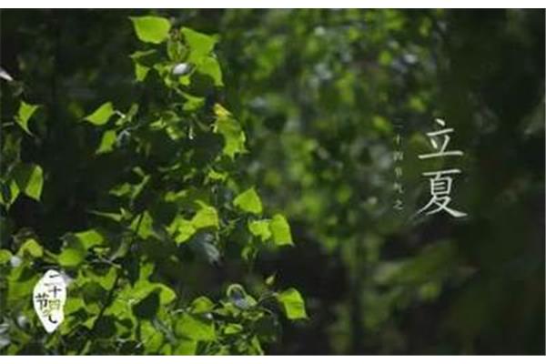 立夏是什么时候