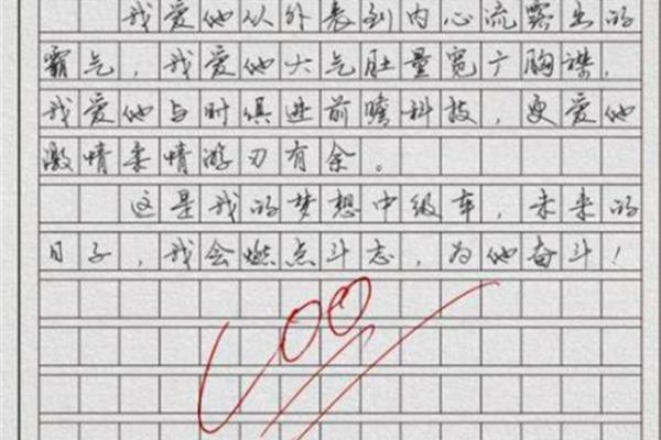 关于书法的作文