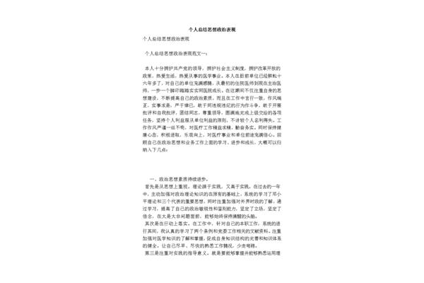 个人政治表现