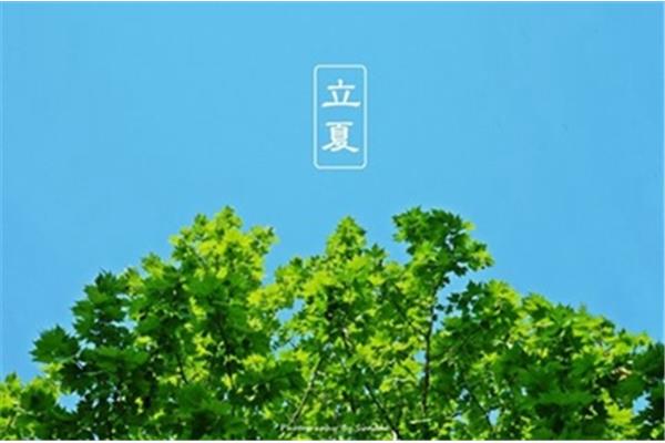 立夏是什么时候