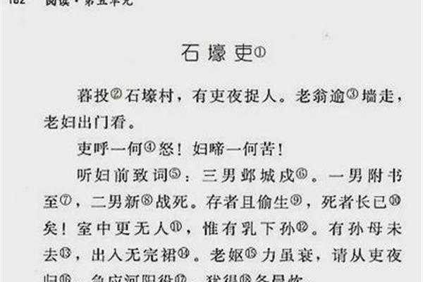 有吏夜捉人