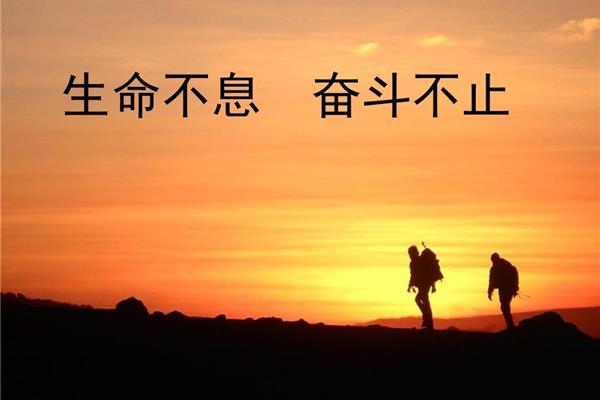 奋斗的素材