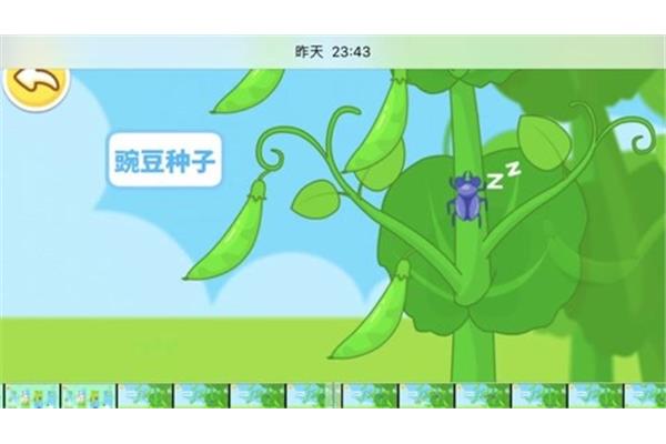 奇妙的种子